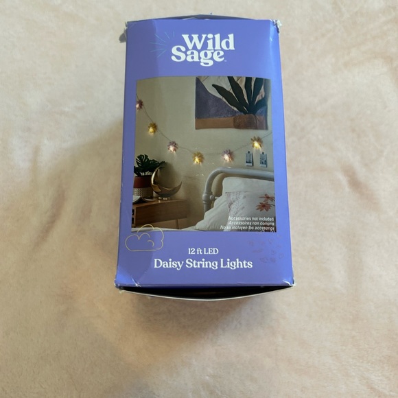 Wild Sage Daisy String Lights - Picture 2 of 7